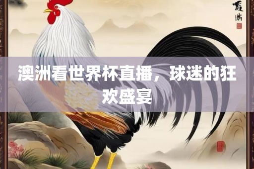 澳洲看世界杯直播，球迷的狂欢盛宴