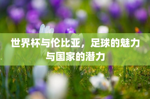 世界杯与伦比亚，足球的魅力与国家的潜力