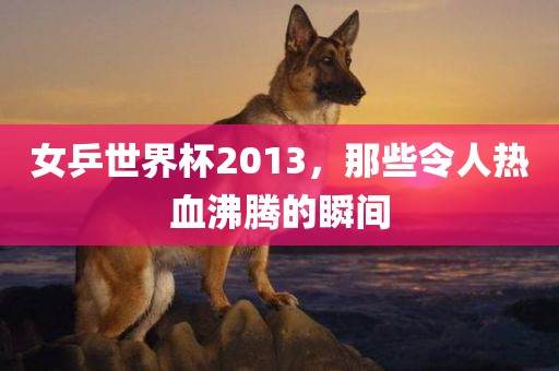 女乒世界杯2013，那些令人热血沸腾的瞬间