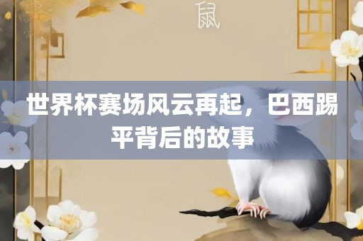 世界杯赛场风云再起，巴西踢平背后的故事