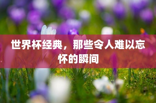 世界杯经典，那些令人难以忘怀的瞬间眉山市正发家政服务有限公司