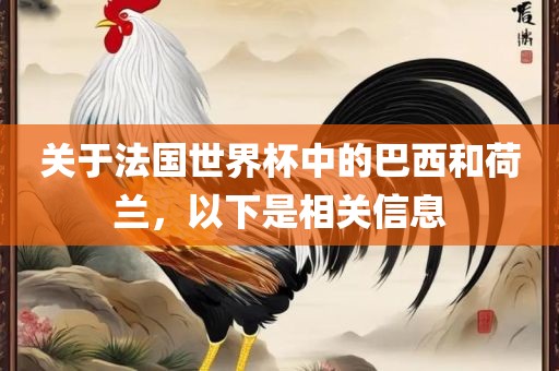 关于法国世界杯中的巴西和荷兰，以下是相关信息