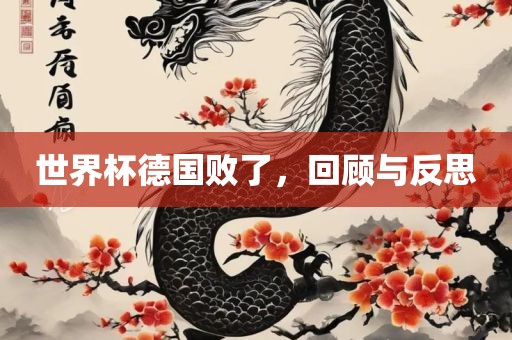 世界杯德国败了，回顾与反思