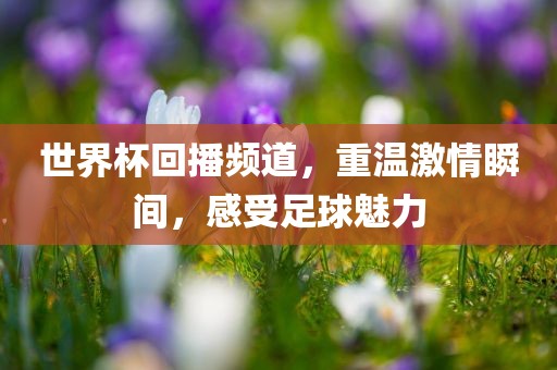 世界杯回播频道，重温激情瞬间，感受足球魅力
