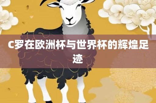 C罗在欧洲杯与世界杯的辉煌足迹