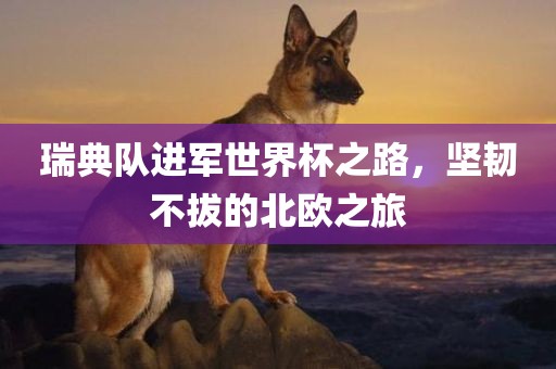 瑞典队进军世界杯之路，坚韧不拔的北欧之旅
