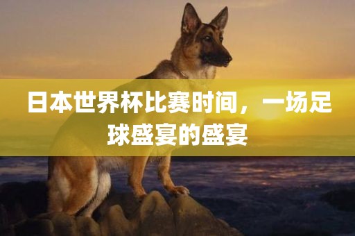 日本世界杯比赛时间，一场足球盛宴的盛宴