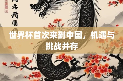 世界杯首次来到中国，机遇与挑战并存