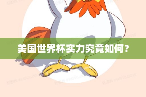 美国世界杯实力究竟如何？