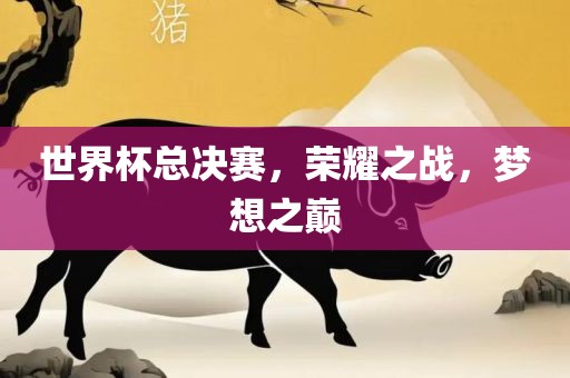 世界杯总决赛，荣耀之战，梦想之巅眉山市正发家政服务有限公司