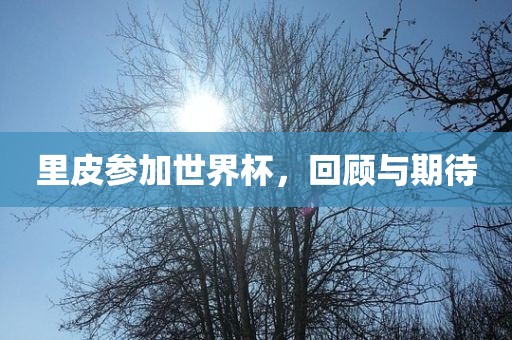 里皮参加世界杯，回顾与期待