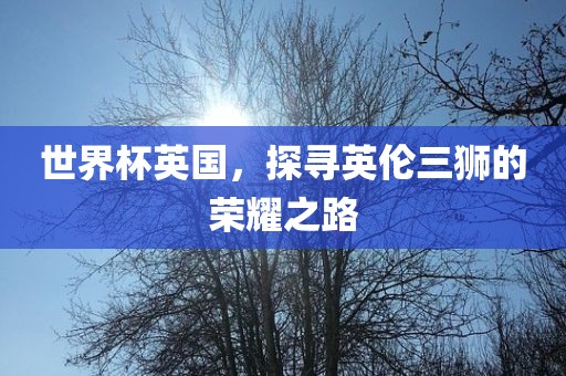 世眉山市正发家政服务有限公司界杯英国，探寻英伦三狮的荣耀之路