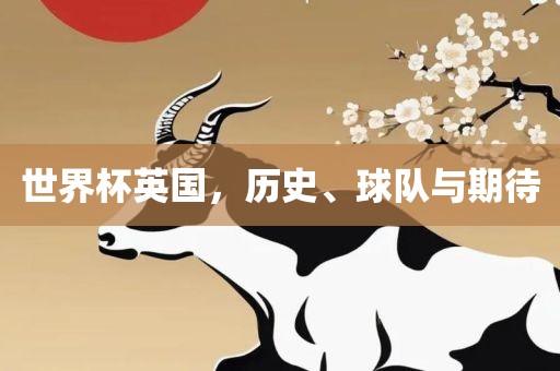 世界杯英国，历史、球队与期待眉山市正发家政服务有限公司