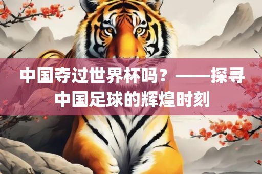 中国夺过世界杯吗？——探寻中国足球的辉煌时刻