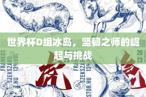 世界杯D组冰岛，坚韧之师的崛起与挑战