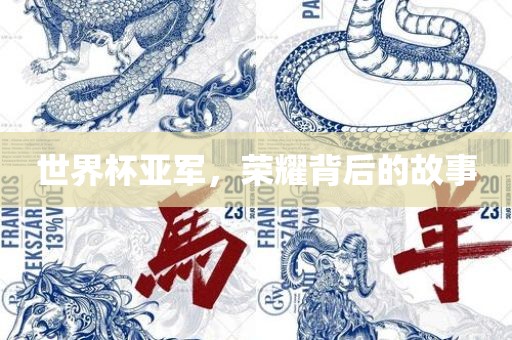 世界杯亚军，荣耀背后的故事