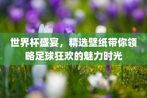 世界杯盛宴，精选壁纸带你领略足球狂欢的魅力时光