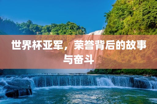 世界杯亚军，荣誉背后的故事与奋斗