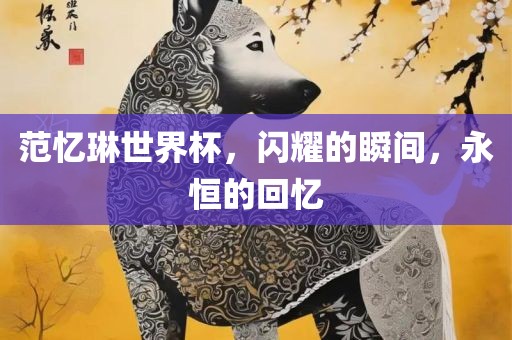 范忆琳世界杯，闪耀的瞬间，永恒的回忆
