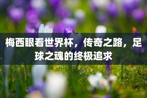 梅西眼看世界杯，传奇之路，足球之魂的终极追求