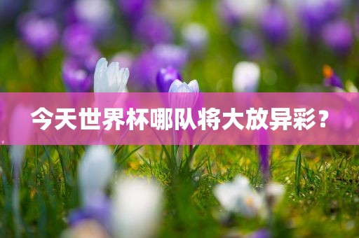 今天世界杯哪队将大放异彩？