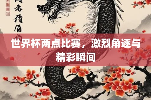 世界杯两点比赛，激烈角逐与精彩瞬间