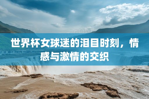 世界杯女球迷的泪目时刻，情感与激情的交织