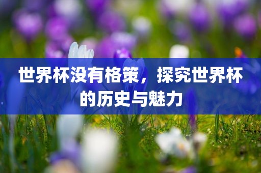 世界杯没有格策，探究世界杯的历史与魅力