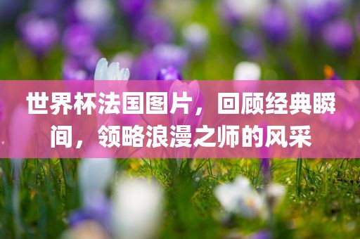 世界杯法国图片，回顾经典瞬间，领略浪漫之师的风采