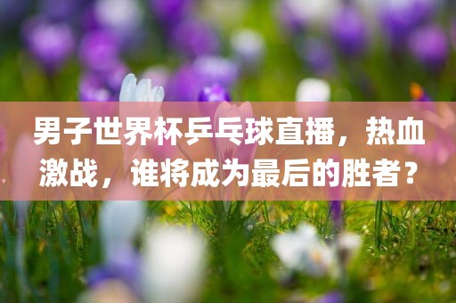 男子世界杯乒乓球直播，热血激战，谁将成为最后的胜者？