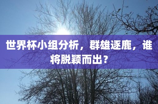 世界杯小组分析，群雄逐鹿，谁将脱颖而出？