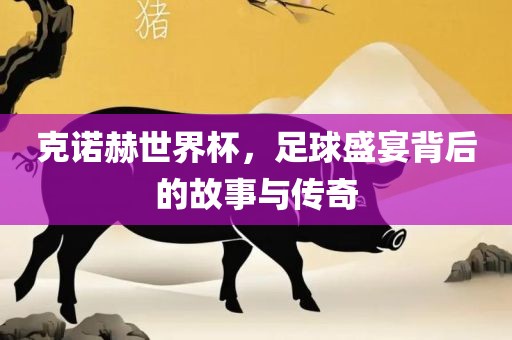 克诺赫世界杯，足球盛宴背后的故事与传奇