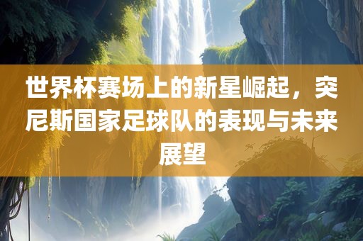 世界杯赛场上的新星崛起，突尼斯国家足球队的表现与未来展望