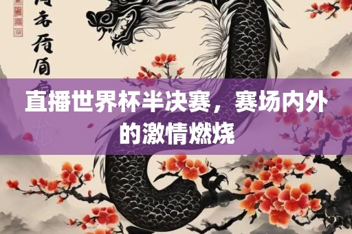 直播世界杯半决赛，赛场内外的激情燃烧