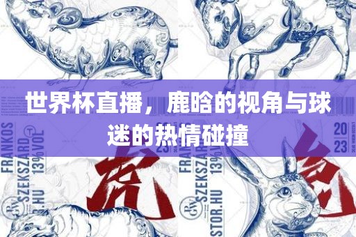 世界杯直播，鹿晗的视角与球迷的热情碰撞