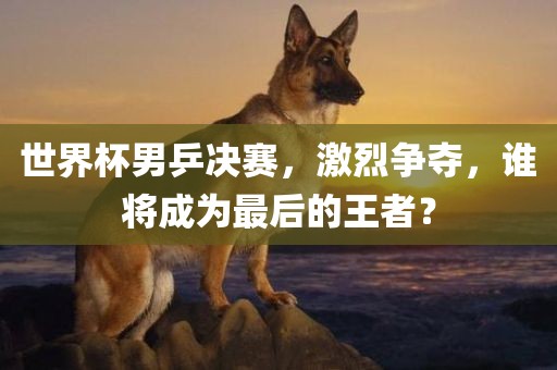 世界杯男乒决赛，激烈争夺，谁将成为最后的王者？