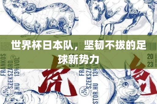世界杯日本队，坚韧不拔的足球新势力