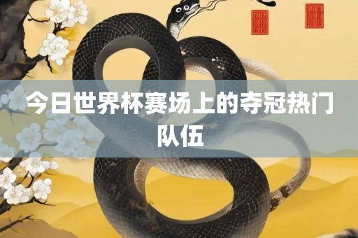 今日世界杯赛场上的夺冠热门队伍