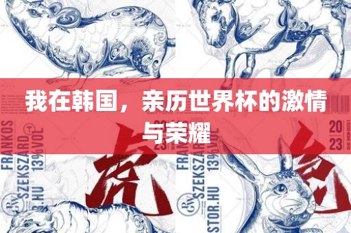 我在韩国，亲历世界杯的激情与荣耀