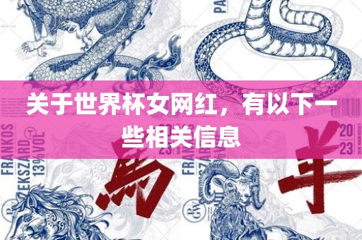 关于世界杯女网红，有以下一些相关信息