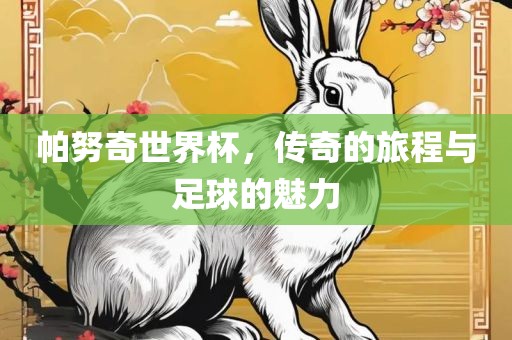 帕努奇世界杯，传奇的旅程与足球的魅力