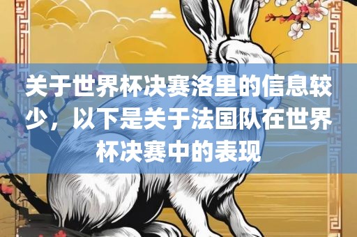 关于世界杯决赛洛里的信息较少，以下是关于法国队在世界杯决赛中的表现
