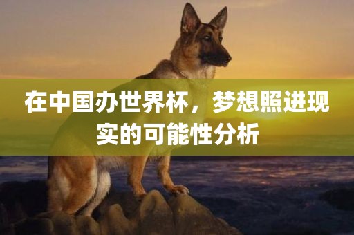 在中国办世界杯，梦想照进现实的可能性分析