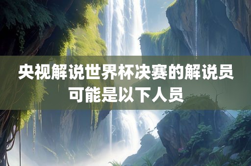 央视解说世界杯决赛的解说员可能是以下人员