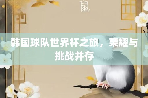 韩国球队世界杯之旅，荣耀与挑战并存