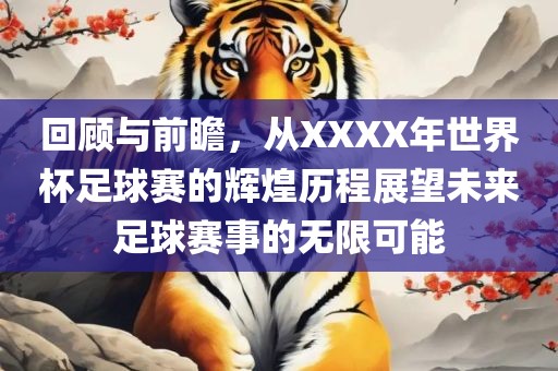 回顾与前瞻，从XXXX年世界杯足球赛的辉煌历程展望未来足球赛事的无限可能