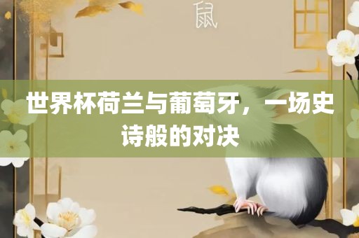 世界杯荷兰与葡萄牙，一场史诗般的对决