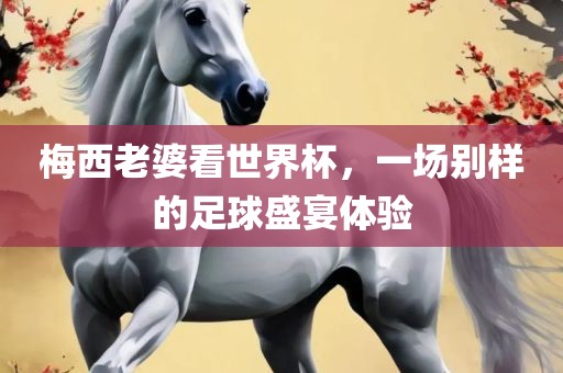 梅西老婆看世界杯，一场别样的足球盛宴体验