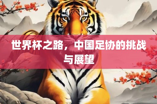 世界杯之路，中国足协的挑战与展望