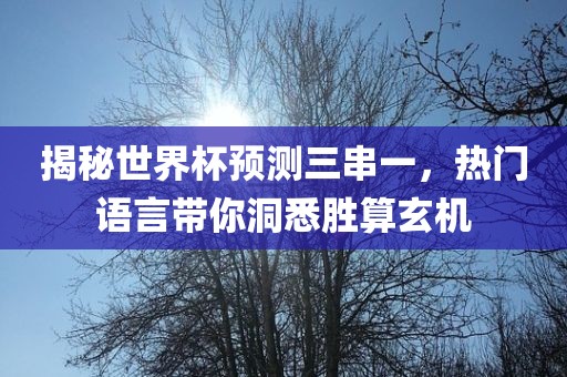 揭秘世界杯预测三串一，热门语言带你洞悉胜算玄机